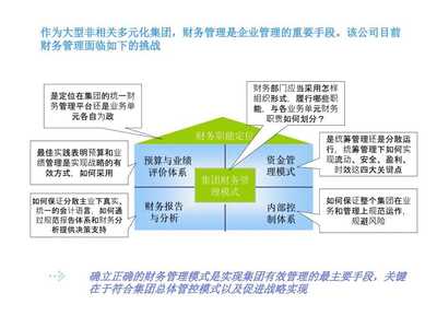 某大型投资控股公司集团管理改进工作研讨IBM咨询业务