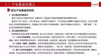 100页ppt 产业基金的建立 投资 投后管理与风险控制